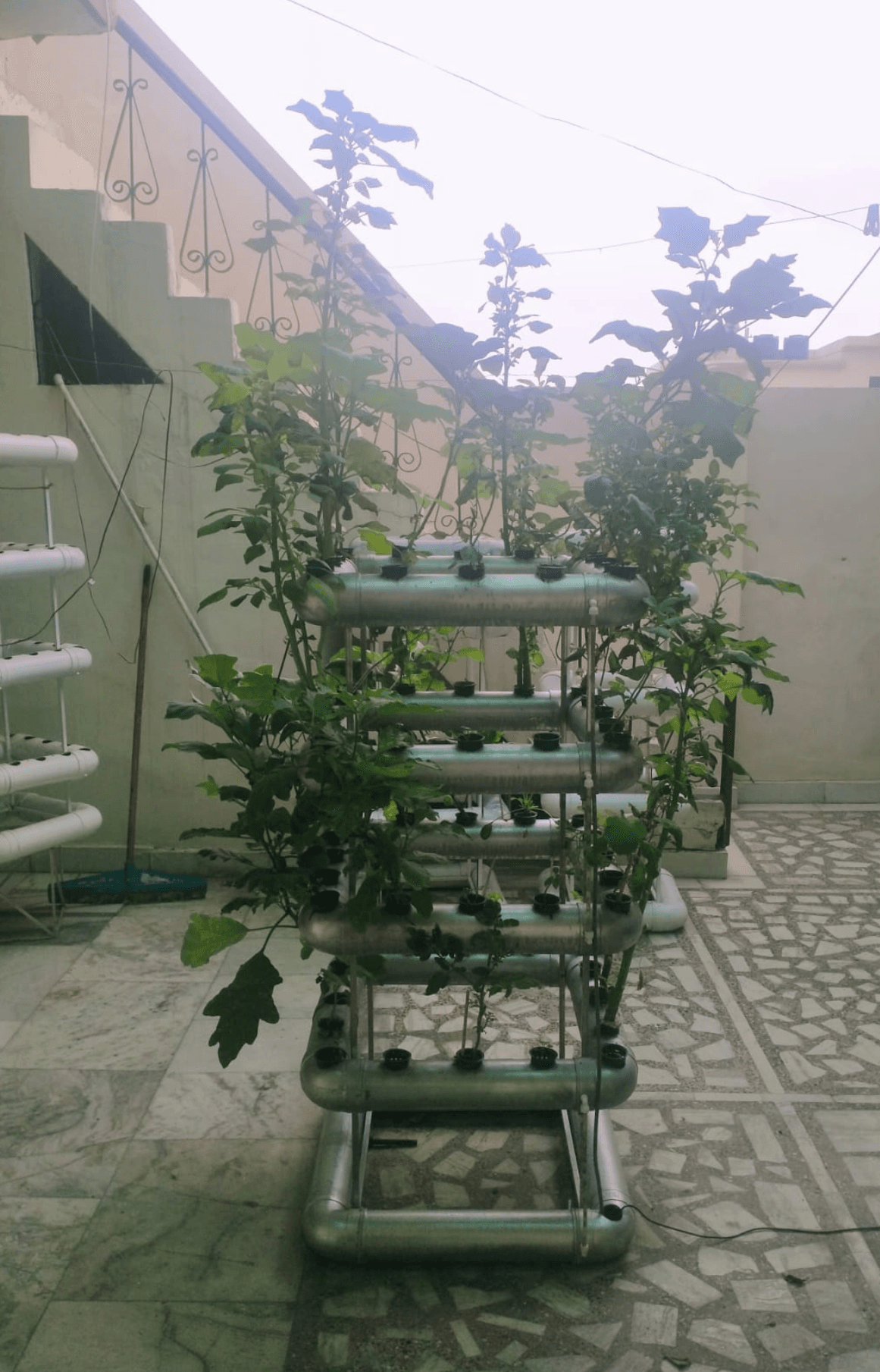 Hydroponic Product 1